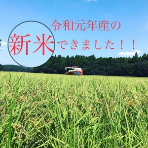 新米【幻の米】多古米コシヒカリ(特別栽培米)精米10kg 平成30年産
