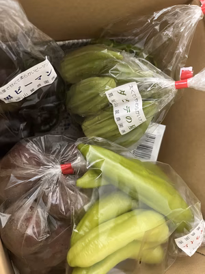 みんなの投稿の画像