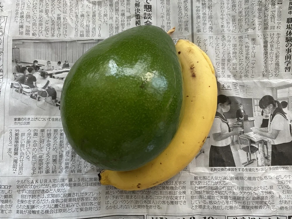 宮古島からだいばん(宮古島方言で大きい)アボカド2個セット
