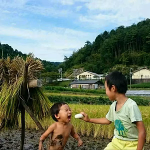 美味しい餅米ならコレ☆天日干し無農薬のたかさごもち　白米