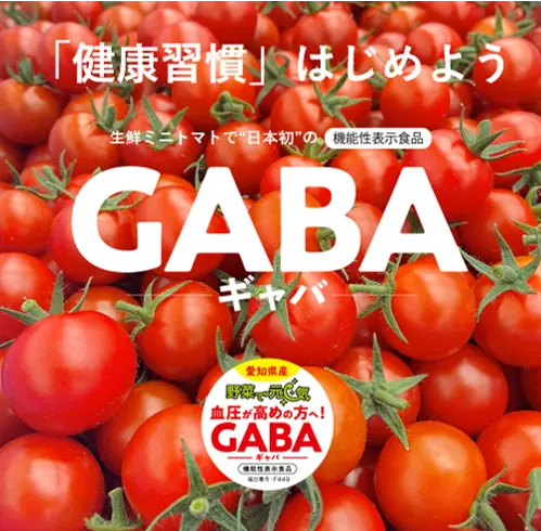 ☀️血圧が高めの方へ❗️◇機能性表示食品◇野菜で元気GABAミニトマト