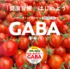 血圧が高めの方へ！◆機能性表示食品◆野菜で元気GABAミニトマト