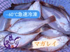 マガレイ、ミズガレイ、食べ比べBOX ‼️［−60℃真空急速冷凍］
