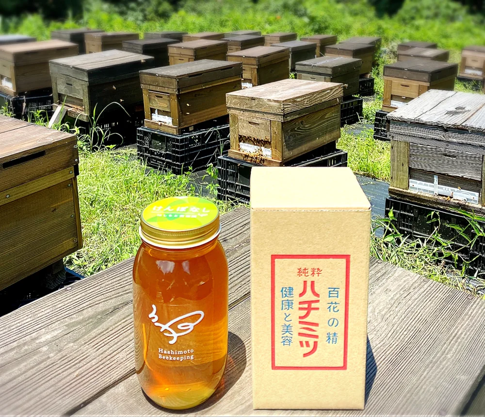 けんぽなし　2022年新潟県産蜂蜜　1000g