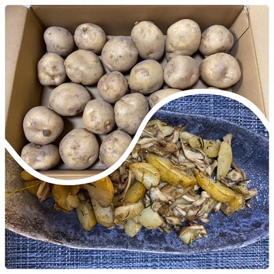 みんなの投稿の画像