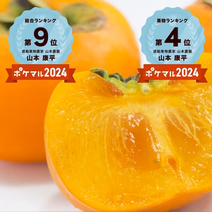 【糖度16度以上保証】10月予約【和歌山】感動果物たねなし柿