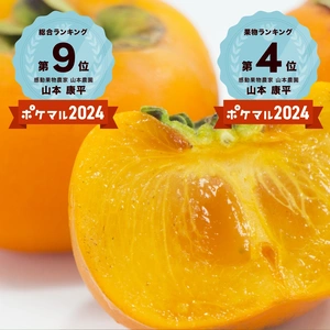 【糖度16度以上保証】10月予約【和歌山】感動果物たねなし柿