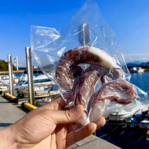 【8周年福袋】瀬戸内海タコ足ボイル2本《簡易梱包でお届け★》