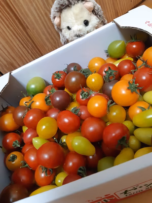 みんなの投稿の画像