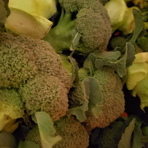 ブロッコリーの規格外の箱詰め　3.5キロ入り