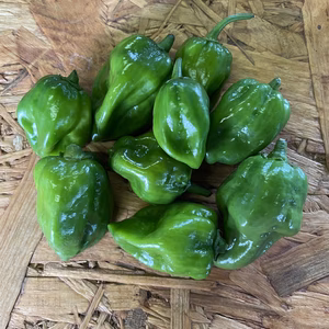 グリーンハバネロ！！！