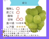 9月中旬発送予定【特別栽培】雄宝をお届け♡山形県産ぶどう