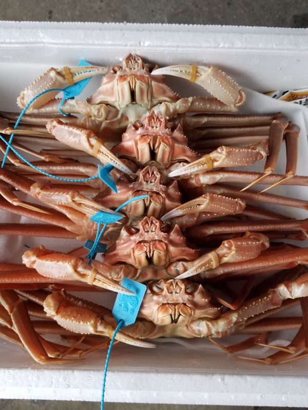 輪島産　加能ガニ 200.300サイズ