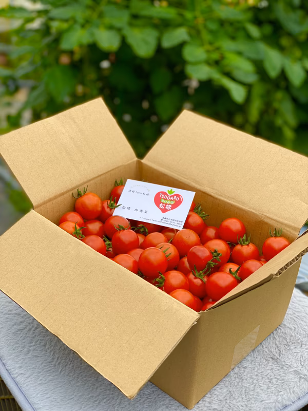 週1回　定期購入ミニトマト　バラ詰め　