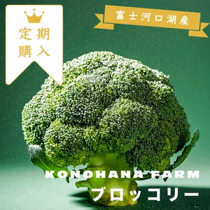 【定期購入】低糖質ダイエット中の方、トレーニング中の方におすすめ！