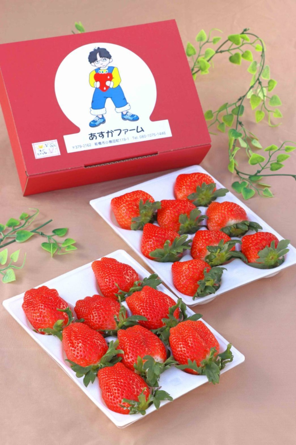 いちご⭐︎即購入大歓迎♪値下げあり♪ いちご苗 でっかいイチゴセット 2種6株 / メタボッチ おおきみ