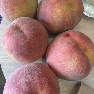 今季最終品種「さくら白桃」は、果肉が緻密で硬め、カリッとした食感が特徴の晩成白桃