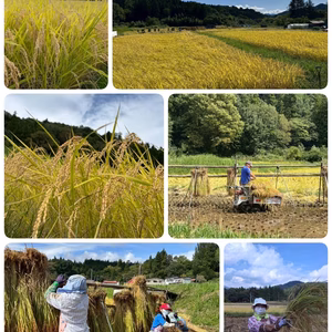 R7年度新米★天日干しコシヒカリ⭐︎真空パックで6kg〜