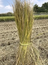 じんでんコシヒカリ7分精米５キロ