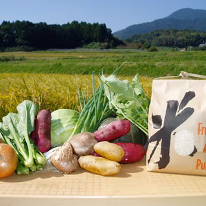 おまかせ野菜8種類セットと白米3キロ