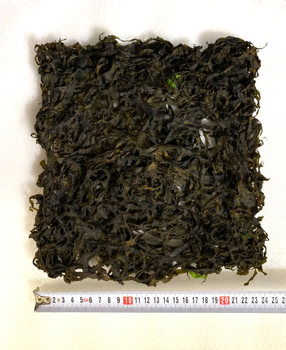超貴重！　天然物　熱海産はばのり２枚入　海藻　はんば　海苔　はば