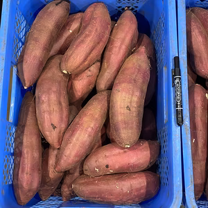 助けてください⚠️千葉県産紅はるか大サイズAB混み