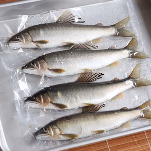 【誕生日付き鮎】 北関東の清流「那珂川産 天然鮎」(真空冷凍4尾計270ｇ）