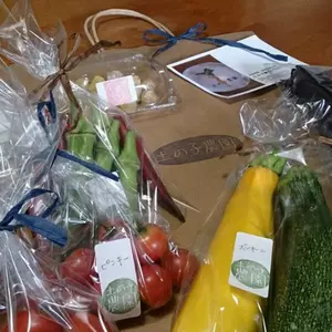 土の子野菜Gift【栽培時農薬、化学肥料不使用】
