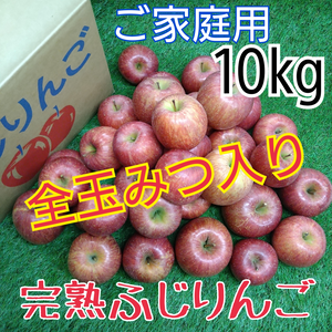全玉みつ入り◆ご家庭用◆完熟ふじりんご約10kg