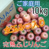 全玉みつ入り◆ご家庭用◆完熟ふじりんご約10kg