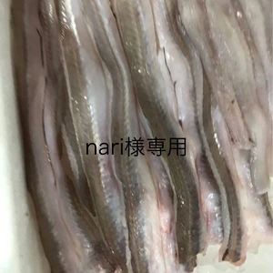 nari様専用