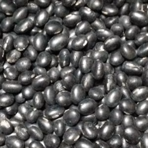 黒大豆(1kg)