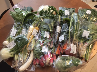 みんなの投稿の画像