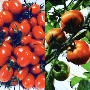 あいてぃかセット