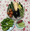 朝採れ！高知の野菜セット(^_^)80サイズ 好きなのを選んでね！