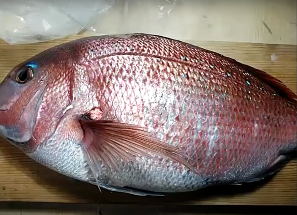 自宅でお魚料理にチャレンジ さばき方動画も掲載 人気の魚介類特集 農家漁師から産地直送の通販 ポケットマルシェ