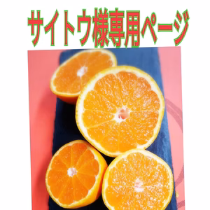 サイトウ様専用ページ!