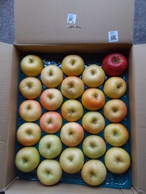 みんなの投稿の画像