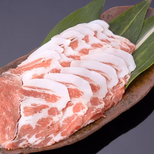 【鹿児島伝統の黒豚】夏の元気に！！ 肩ローススライス〈しょうが焼き・ソテー〉