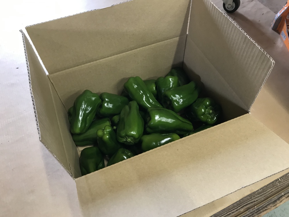 近藤さんのピーマン、大きめ、食べ応え満点！｜ピーマンの商品詳細