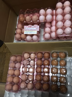 みんなの投稿の画像