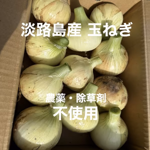 【訳あり】淡路島産 玉ねぎ(ターザン) いつものサラダをアップグレード