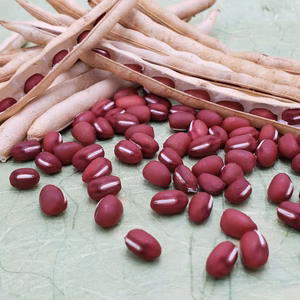 (訳あり) 大納言小豆　新豆　500ｇ
