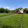 《送料込み・メール便》どうまい緑茶