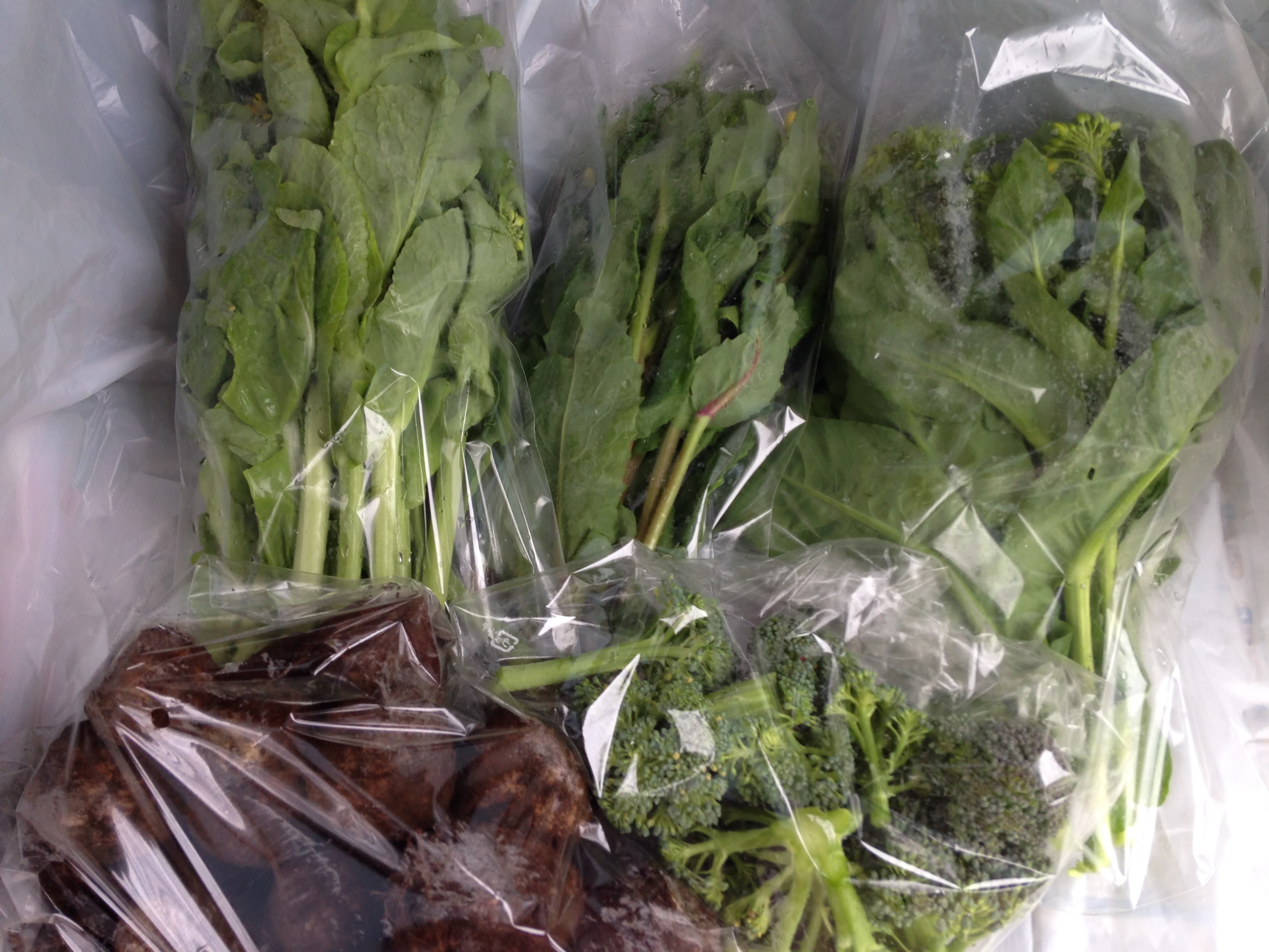 プレミアム野菜セット極 冷蔵 農薬化学肥料 動物性堆肥不使用｜野菜の