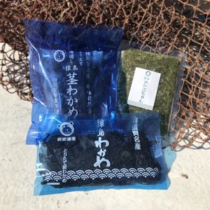 横須賀産　海藻セット