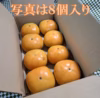 たねなし柿(箱込み2kg以内・6～10個入り）ご家庭用