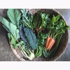 季節のお野菜／Sセット (農薬・化学肥料不使用)
