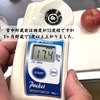 【先行予約雪中りんご】雪中貯蔵 りんご リンゴ 秋田 ギフト 贈答 家庭
