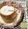 本日収穫の肉厚大3.6キロ送料無料【北海道・沖縄除く】徳島県産無農薬椎茸